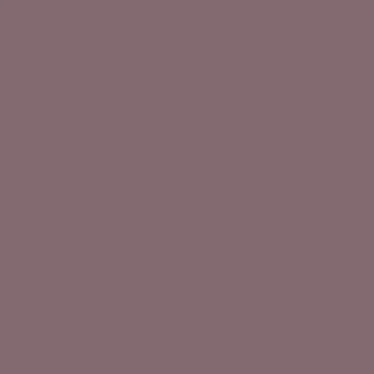 365 Short - Grape - Image 7