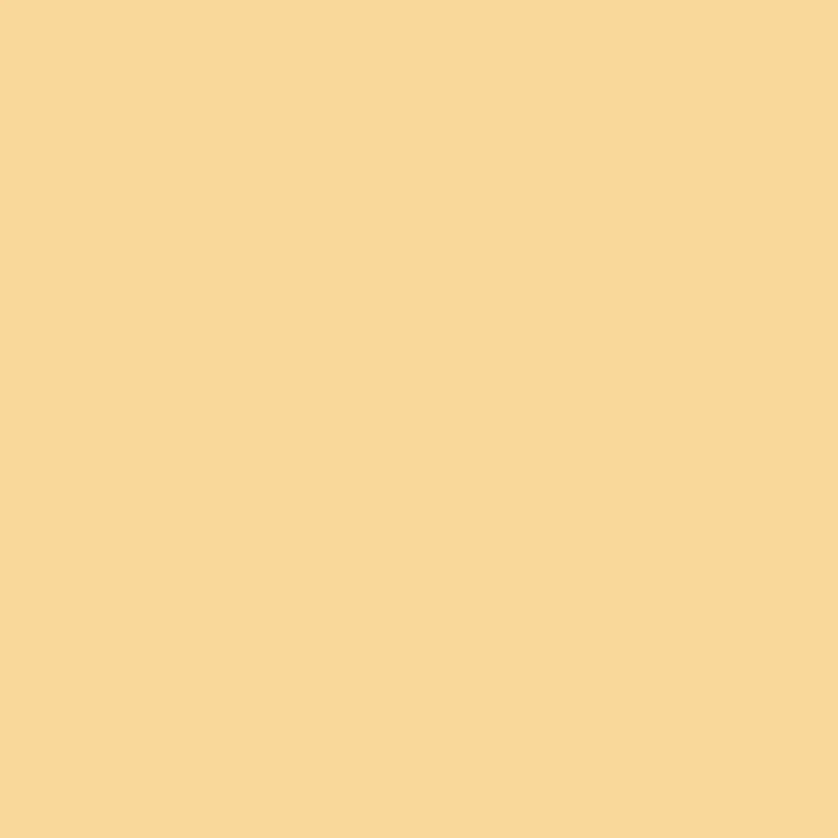Dreamer T-Shirt - Golden Haze - Image 5