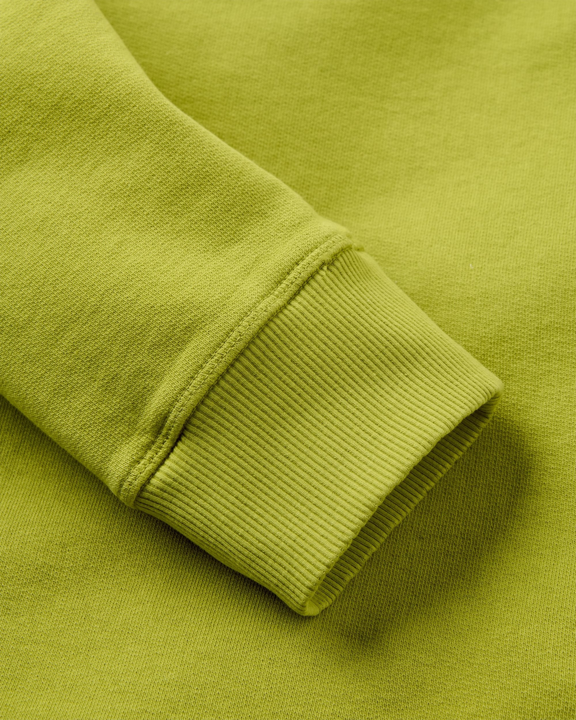 Explore Sweatshirt - Tea Green - Image 5