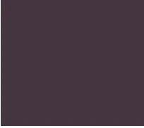 Kinsey Jacket - Deep Plum - Image 11