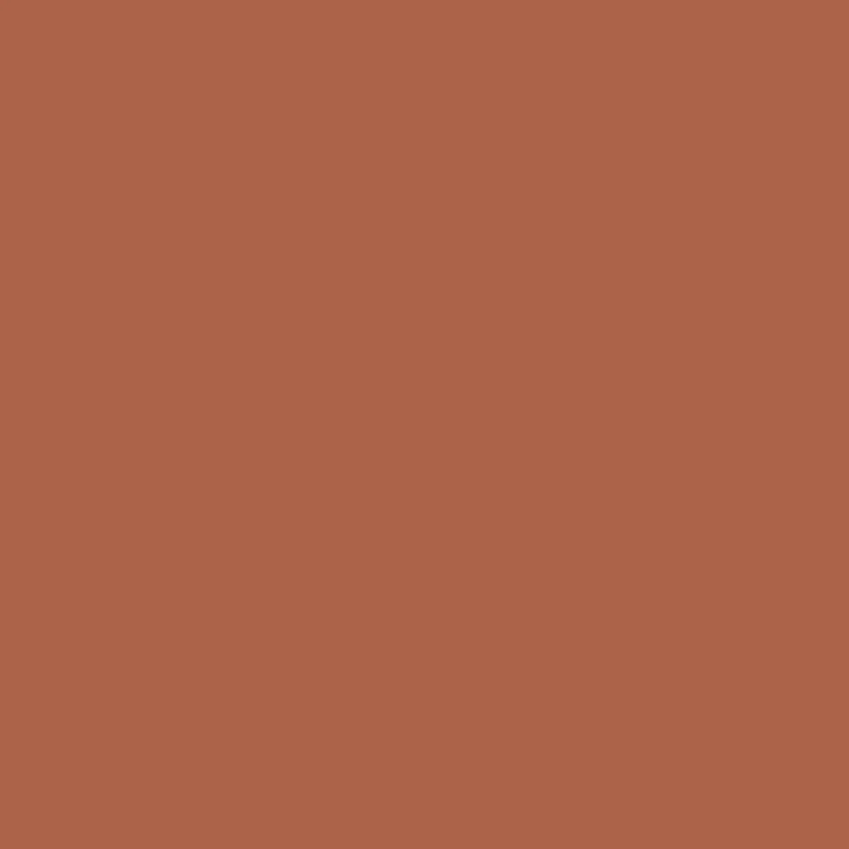 Odyssey Sweatshirt - Burnt Orange - Image 8
