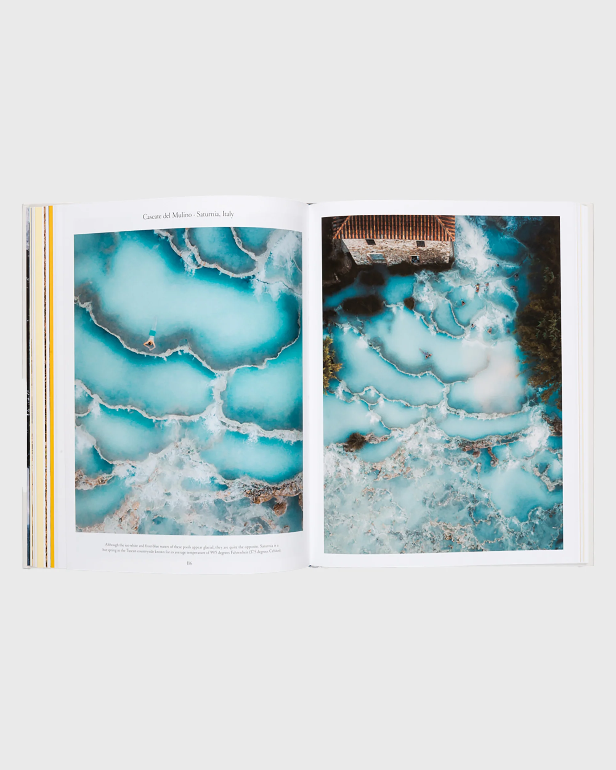 The Nature of Swimming - Image 6
