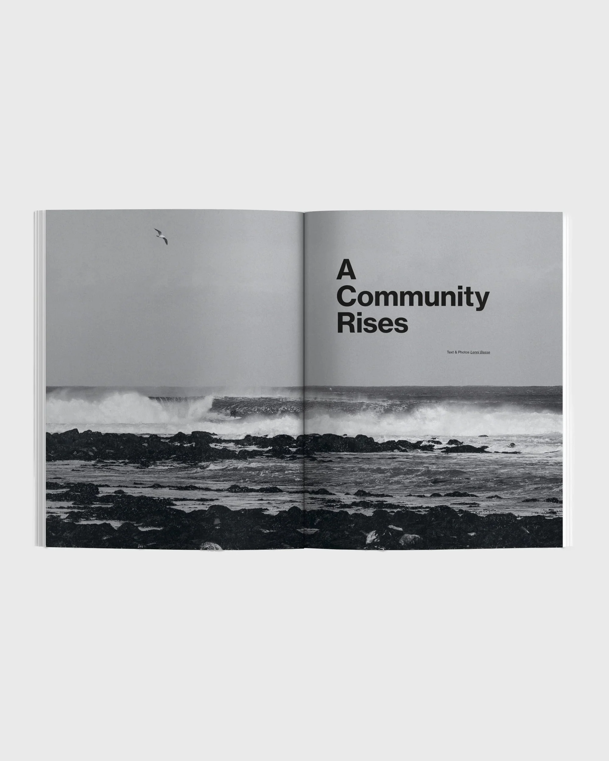 Waves & Woods Issue 43 - Image 3